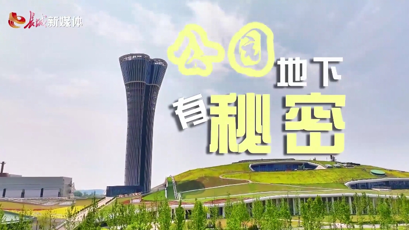 拔節生長看雄安丨公園地下有秘密